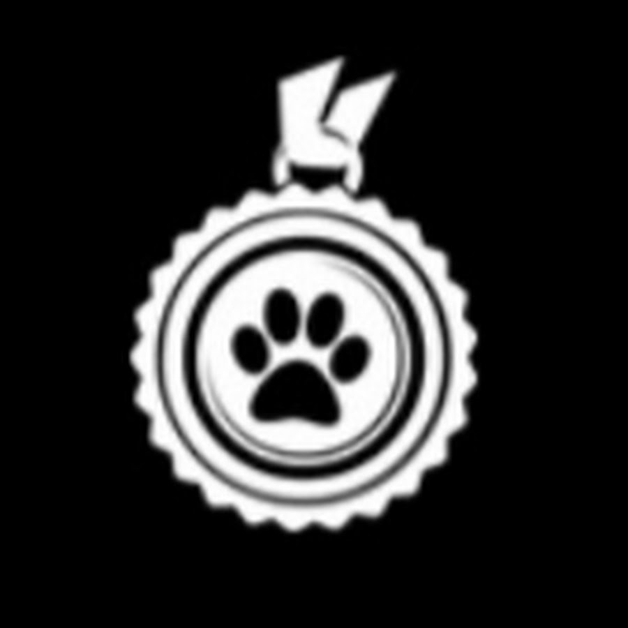 Pets of Champions YouTube channel avatar