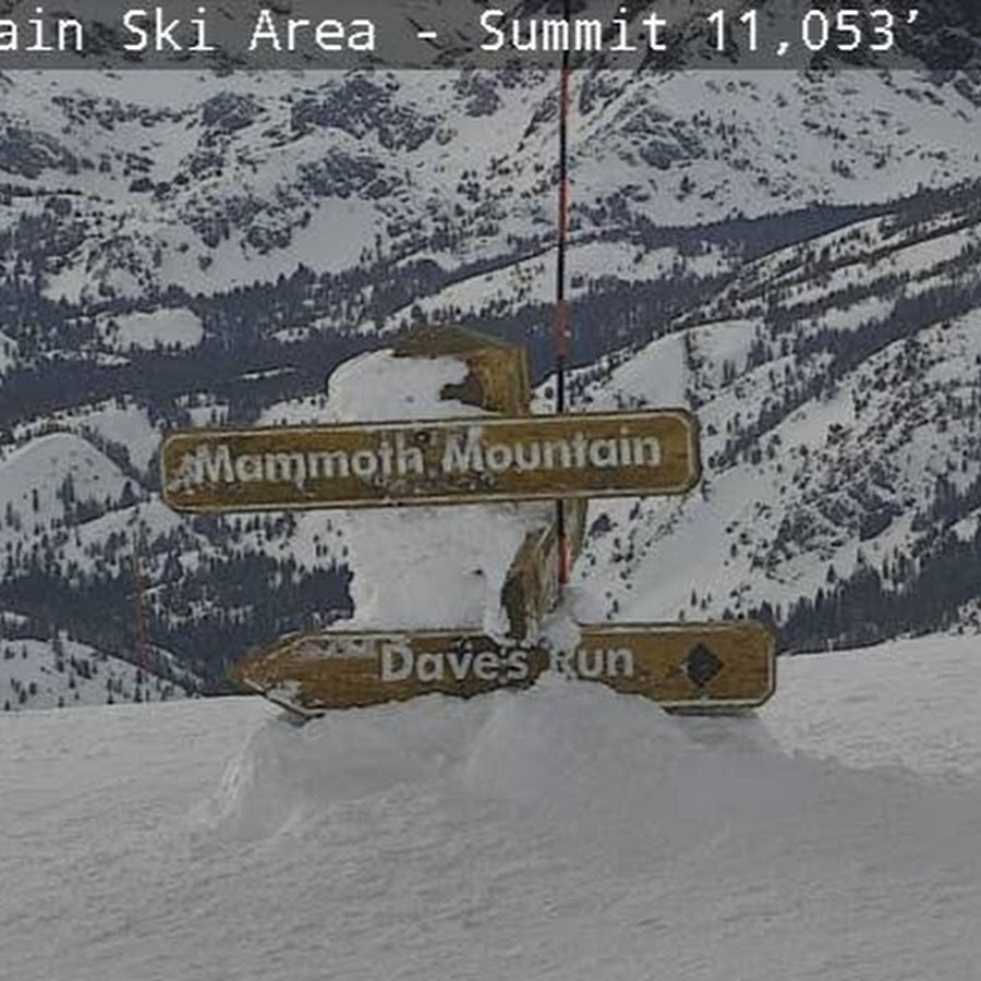 William Tapley Youtube