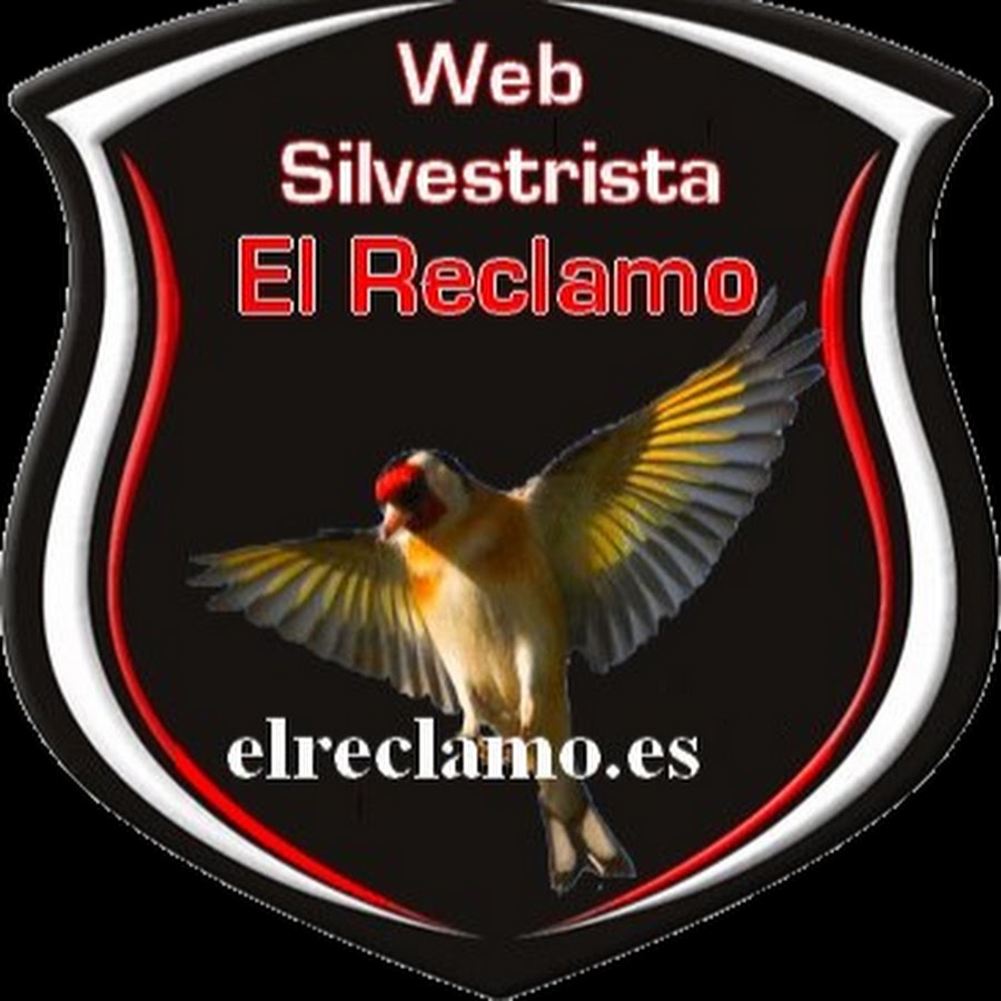 El Reclamo Silvestrismo YouTube kanalı avatarı