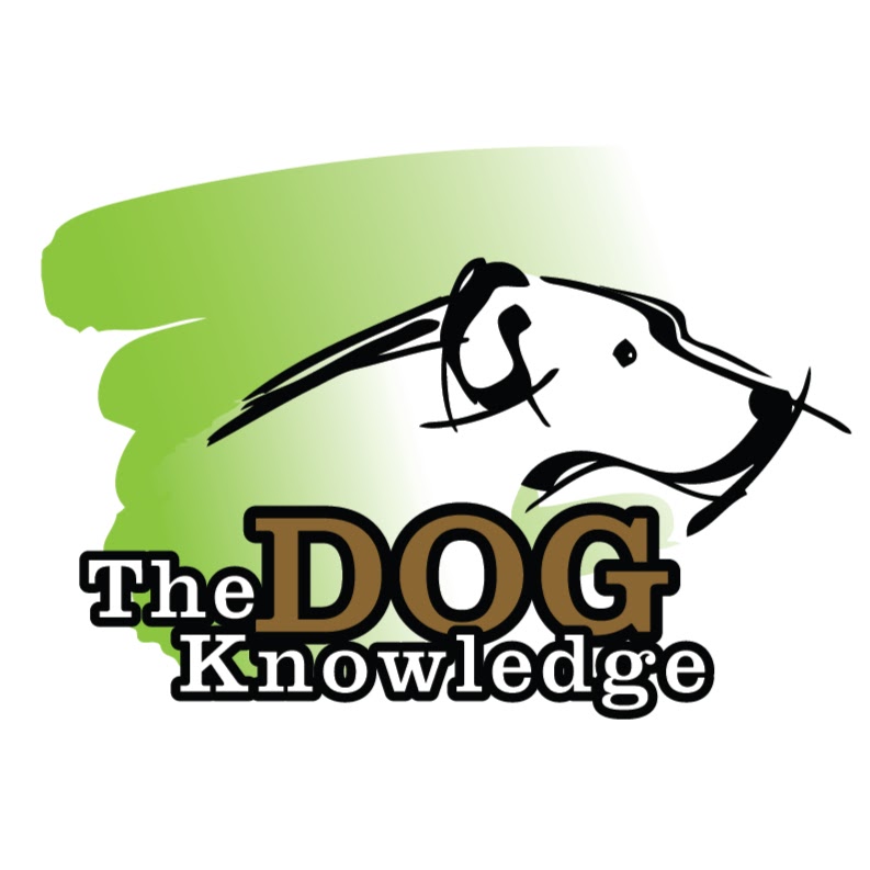 The Dog Knowledge YouTube channel avatar
