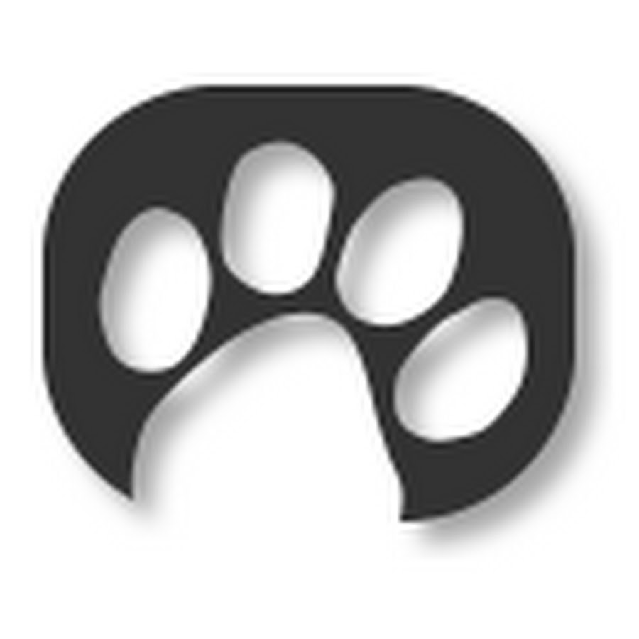 Extend Pets YouTube channel avatar