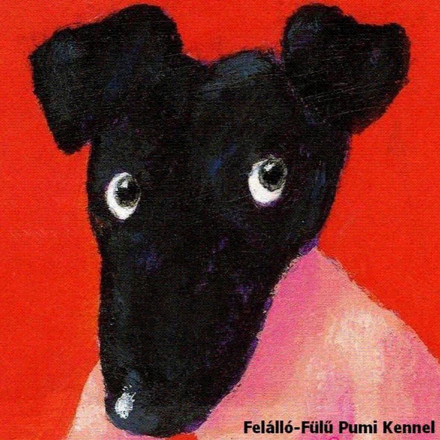 FelÃ¡llÃ³-FÃ¼lÅ± Pumi Kennel Avatar de chaîne YouTube