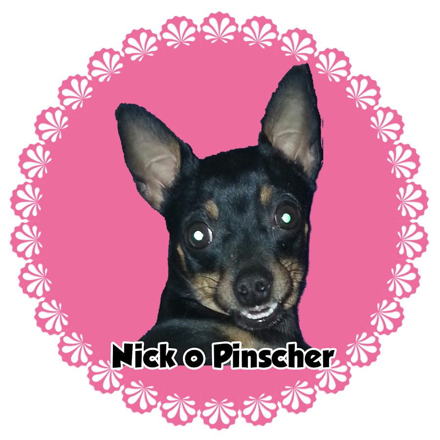 Nick o Pinscher, Aventuras & Cia. YouTube channel avatar