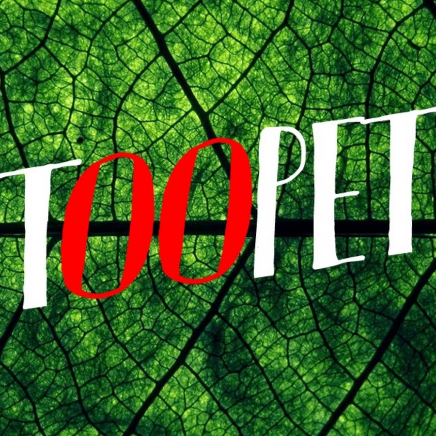 Toopet رمز قناة اليوتيوب