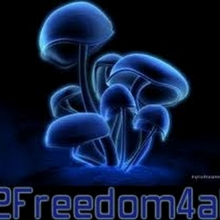 2Freedom4all YouTube channel avatar