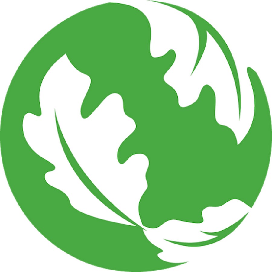 The Nature Conservancy YouTube channel avatar