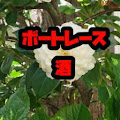 佐藤大のYoutubeチャンネル