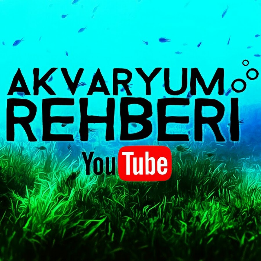 Akvaryum Rehberi رمز قناة اليوتيوب