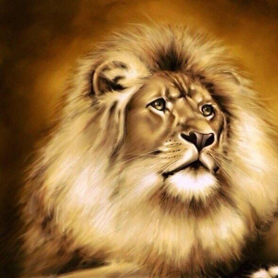 Muslim Lion