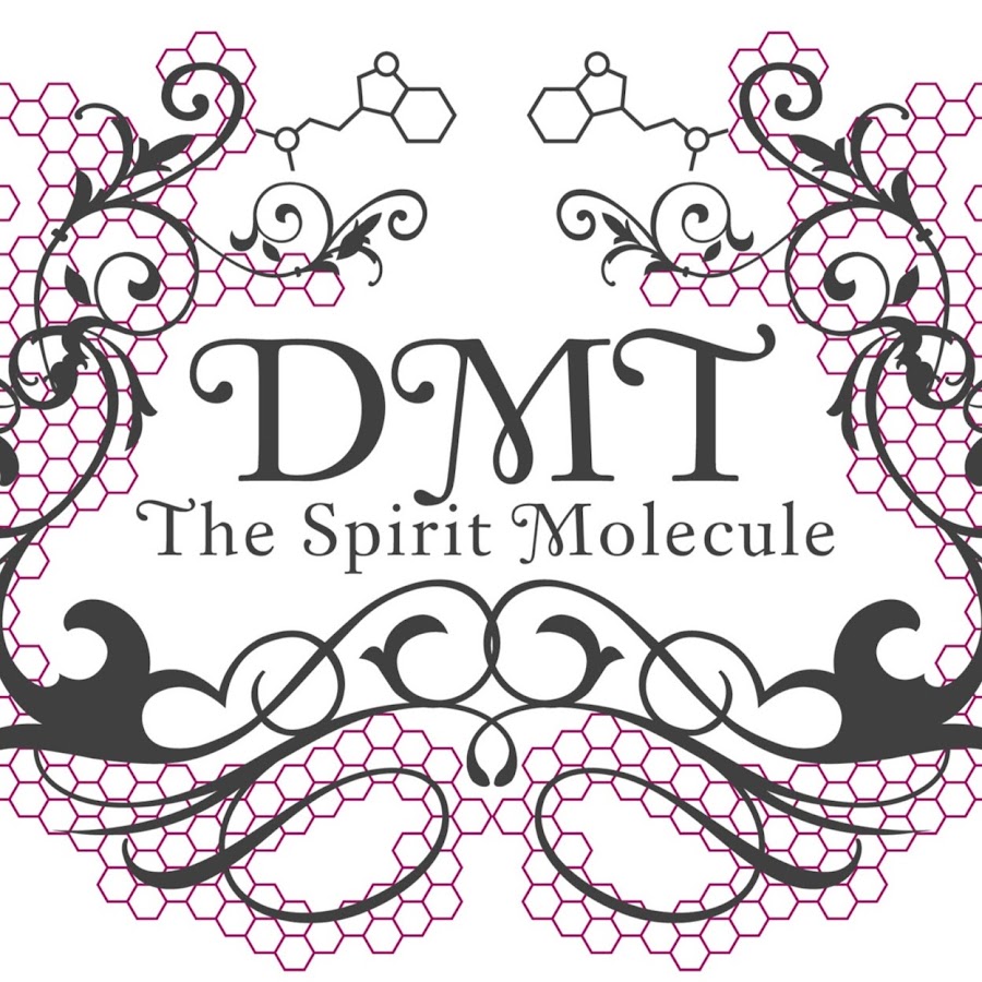 DMT: The Spirit