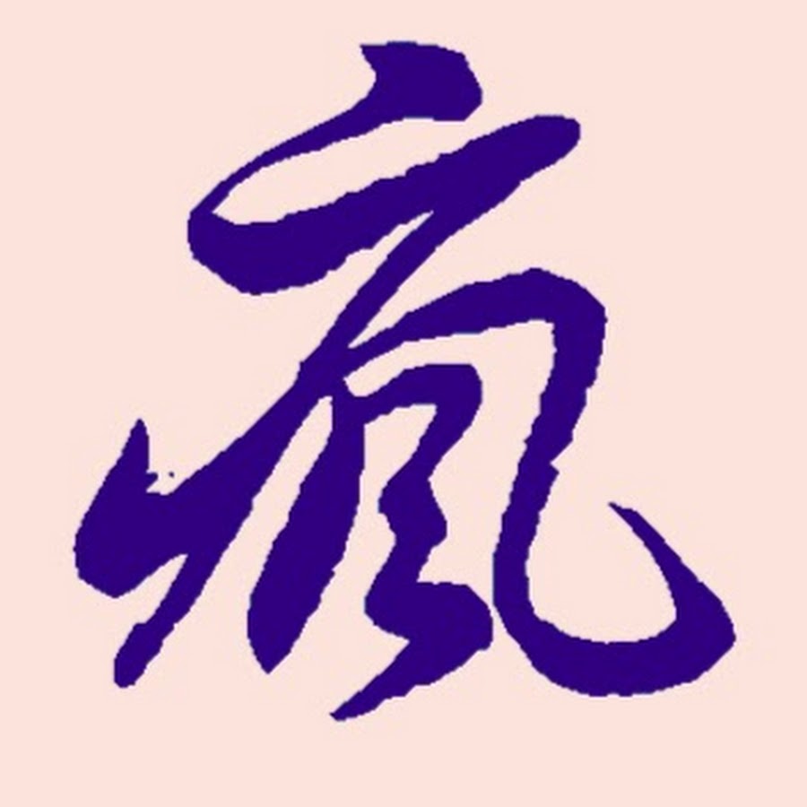 ç˜‹å°ç£ YouTube channel avatar