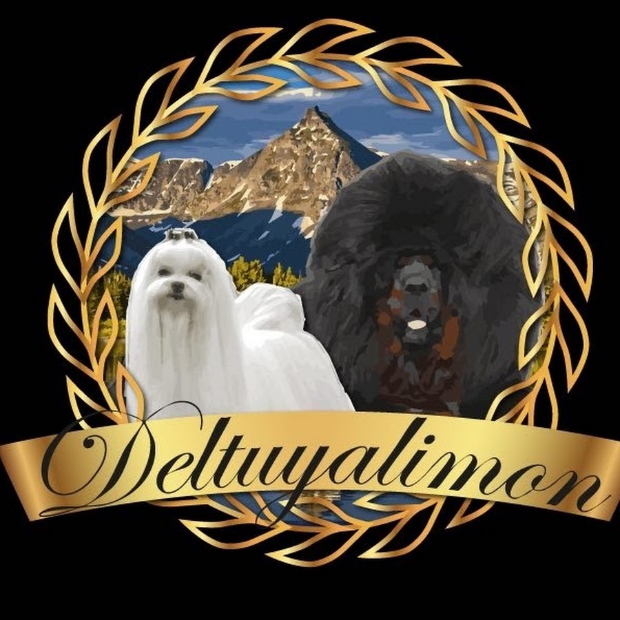 CrÃ­a selectiva Deltuyalimon YouTube channel avatar