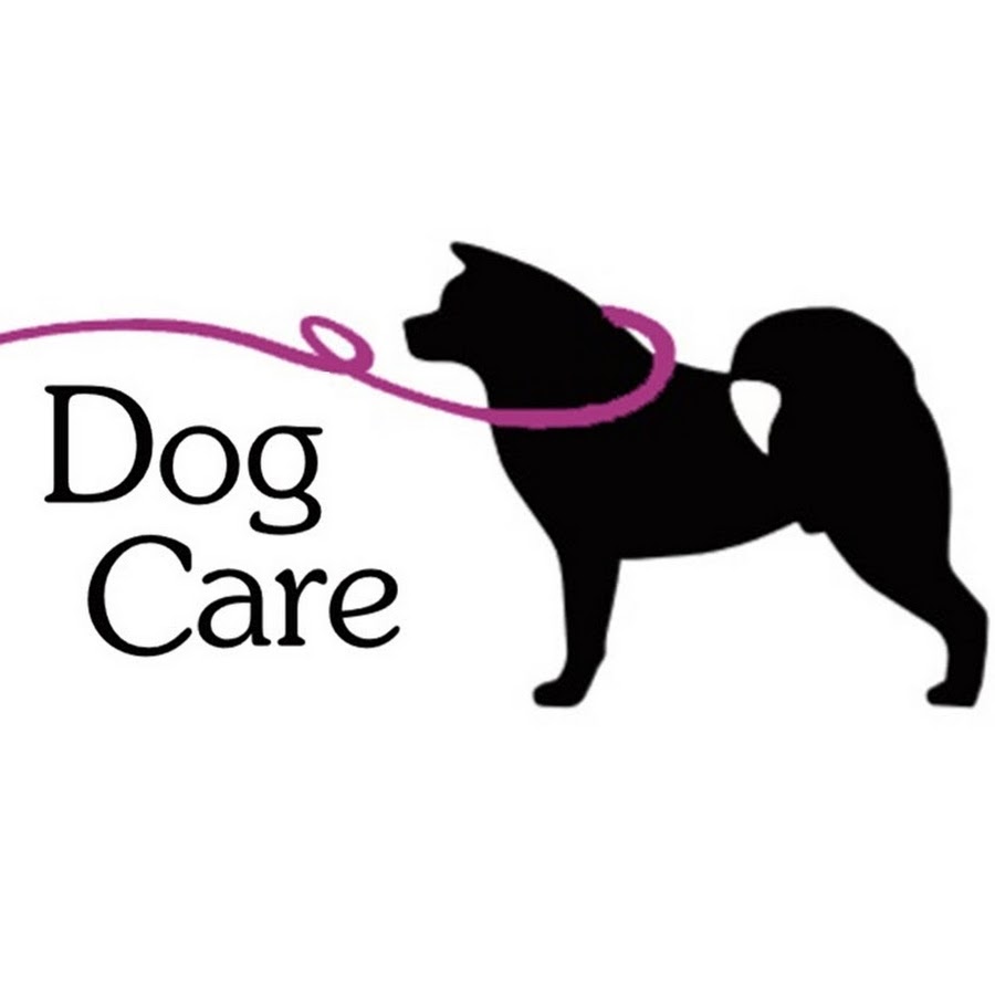 Dog Care Grooming ইউটিউব চ্যানেল অ্যাভাটার