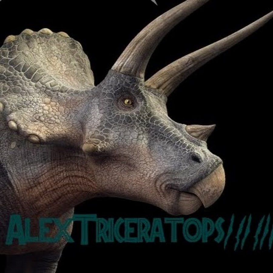 AlexTriceratops123