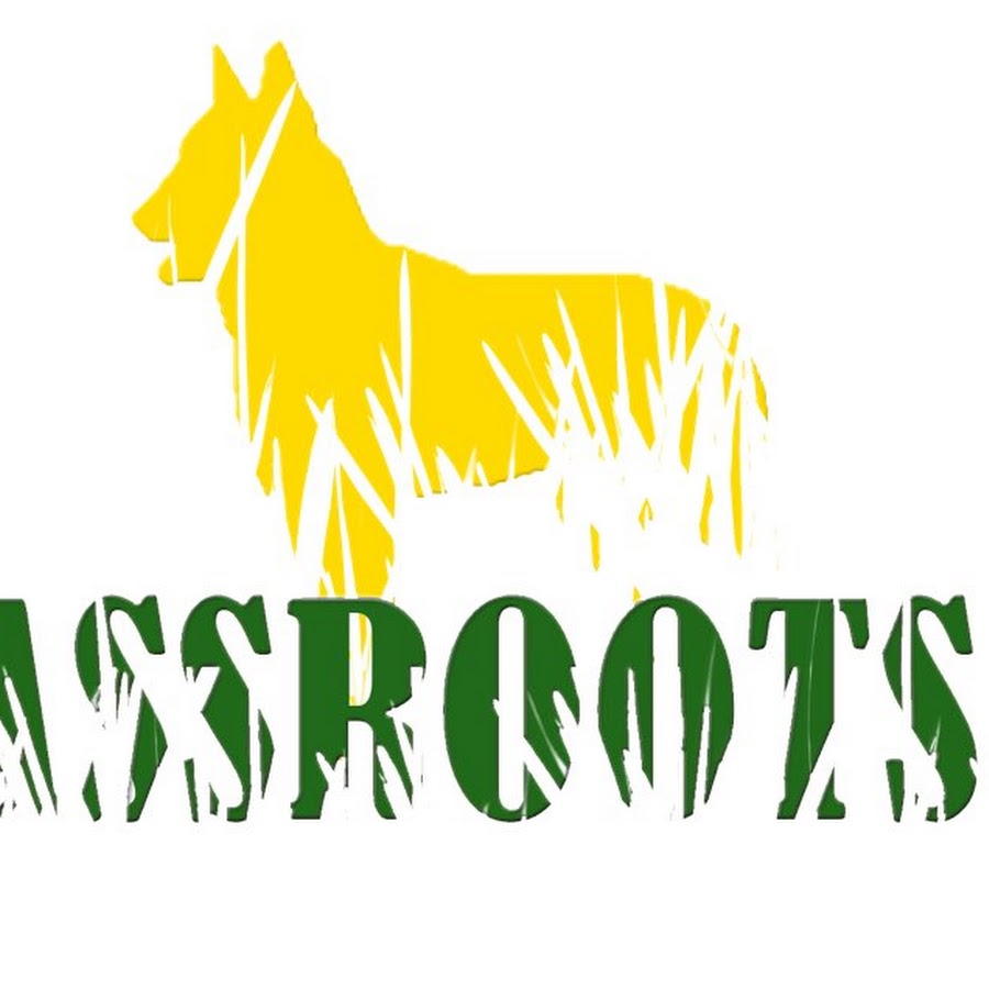 Grassroot K9 YouTube-Kanal-Avatar
