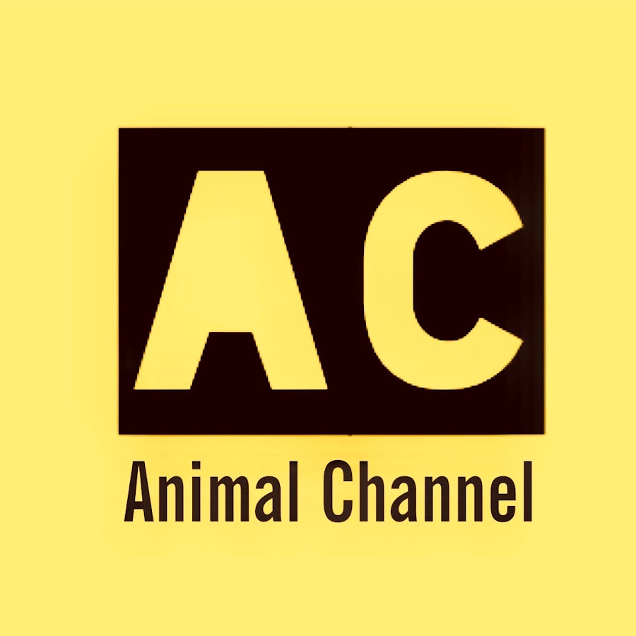 Animal Channel ইউটিউব চ্যানেল অ্যাভাটার