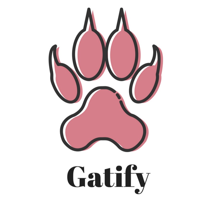 Gatify - Videos para Gatos y Gatas ইউটিউব চ্যানেল অ্যাভাটার