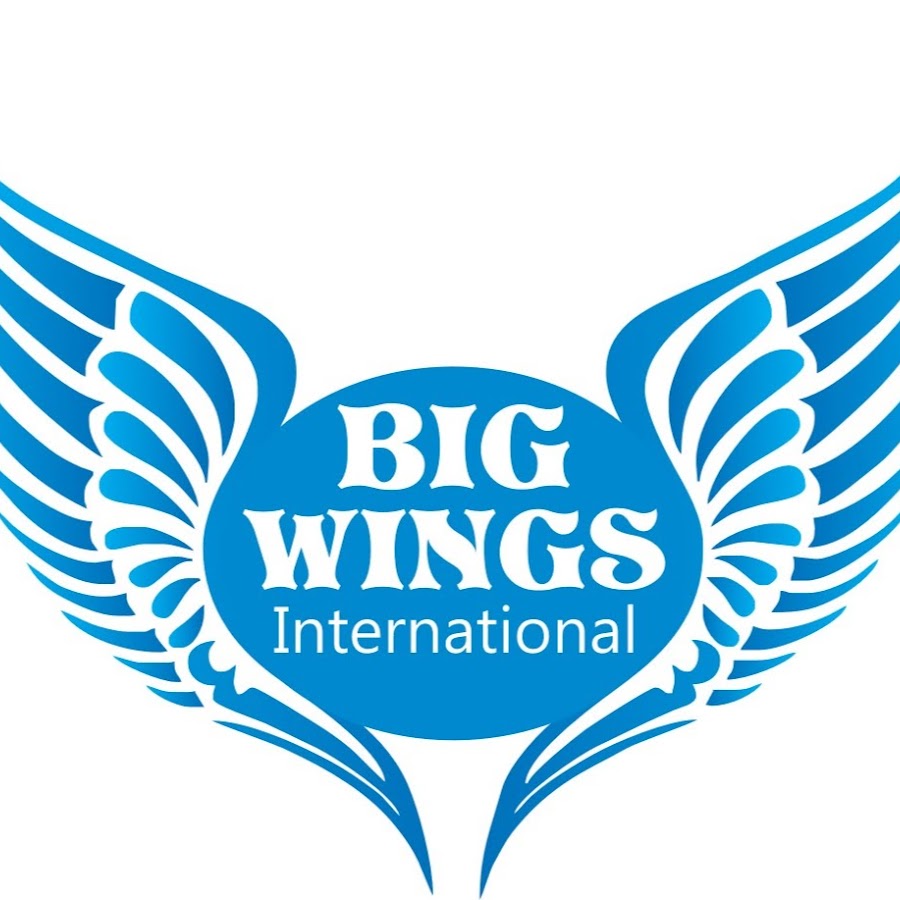 Big wings International YouTube channel avatar