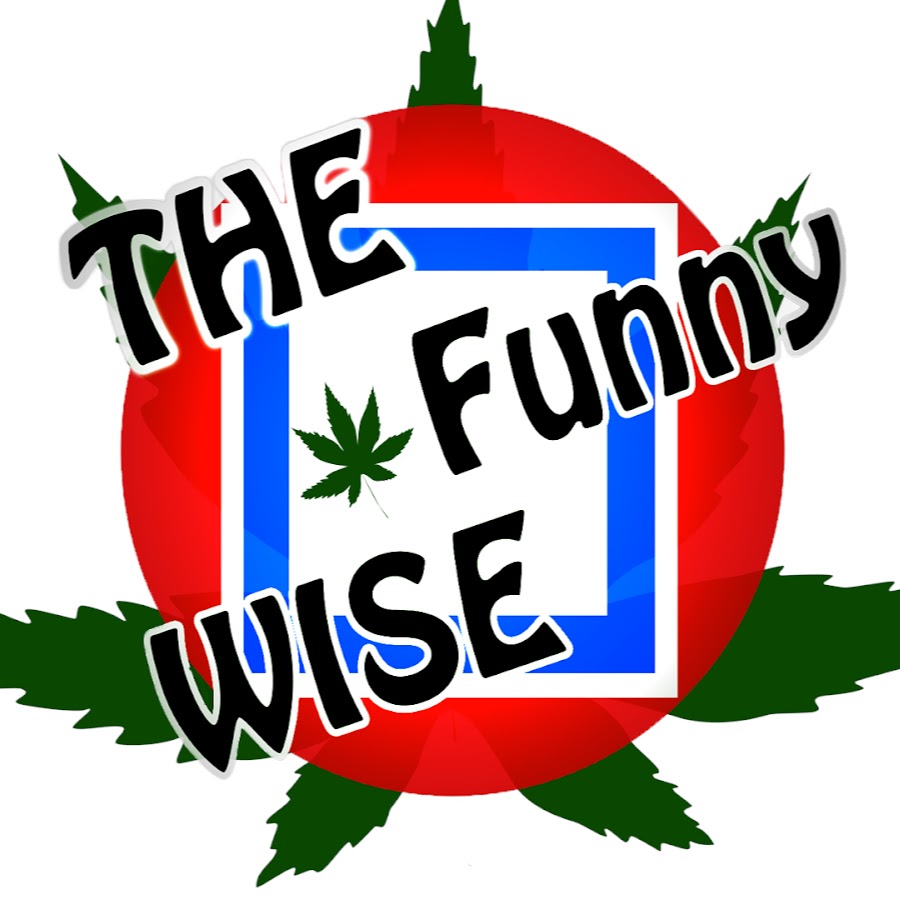 The Funny Wise رمز قناة اليوتيوب
