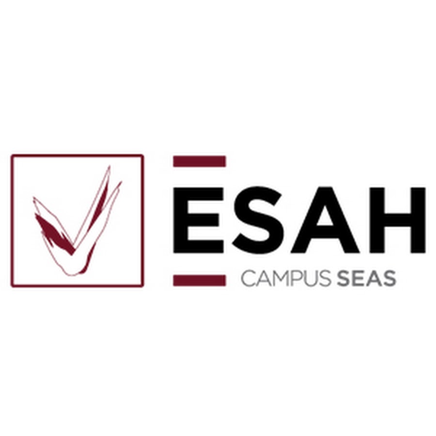 ESAH | Estudios Superiores Abiertos de HostelerÃ­a Avatar de canal de YouTube