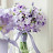 hacoach_