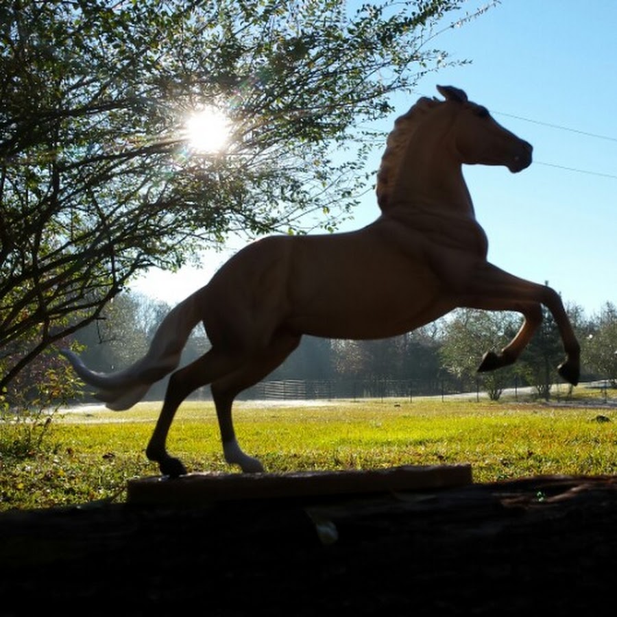 Breyer and Horse