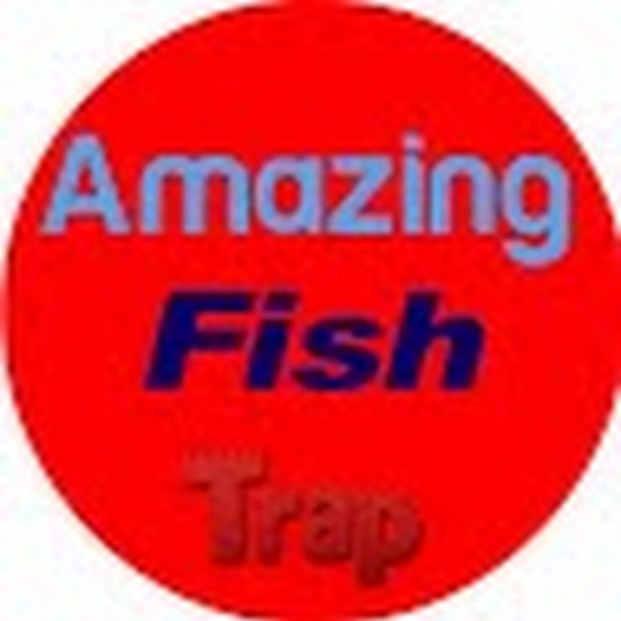 Amazing Fish Trap YouTube 频道头像