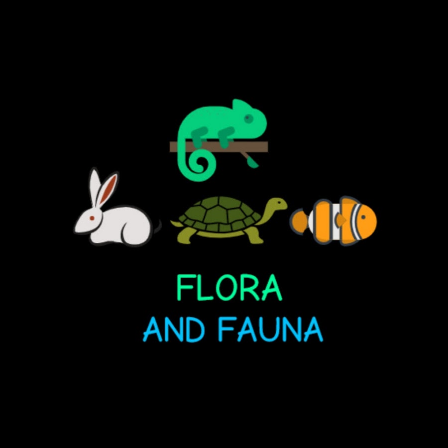 Flora And Fauna YouTube channel avatar