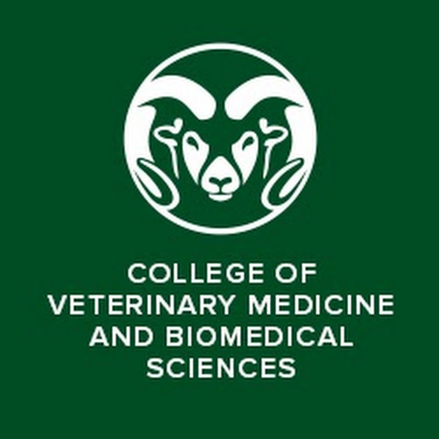CSU College of Veterinary Medicine and Biomedical Sciences YouTube channel avatar