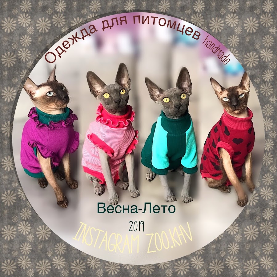 ÐžÐ´ÐµÐ¶Ð´Ð° Ð´Ð»Ñ Ð¡Ñ„Ð¸Ð½ÐºÑÐ¾Ð² Sphynx clothes to buy ইউটিউব চ্যানেল অ্যাভাটার