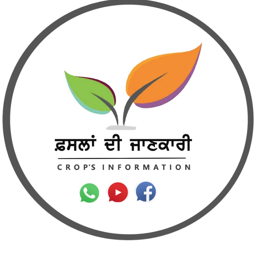 Crops Information à¨«à¨¸à¨²à¨¾à¨‚ à¨¦à©€ à¨œà¨¾à¨£à¨•à¨¾à¨°à©€ Аватар канала YouTube