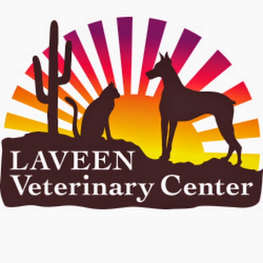 Laveen Veterinary Center YouTube kanalı avatarı
