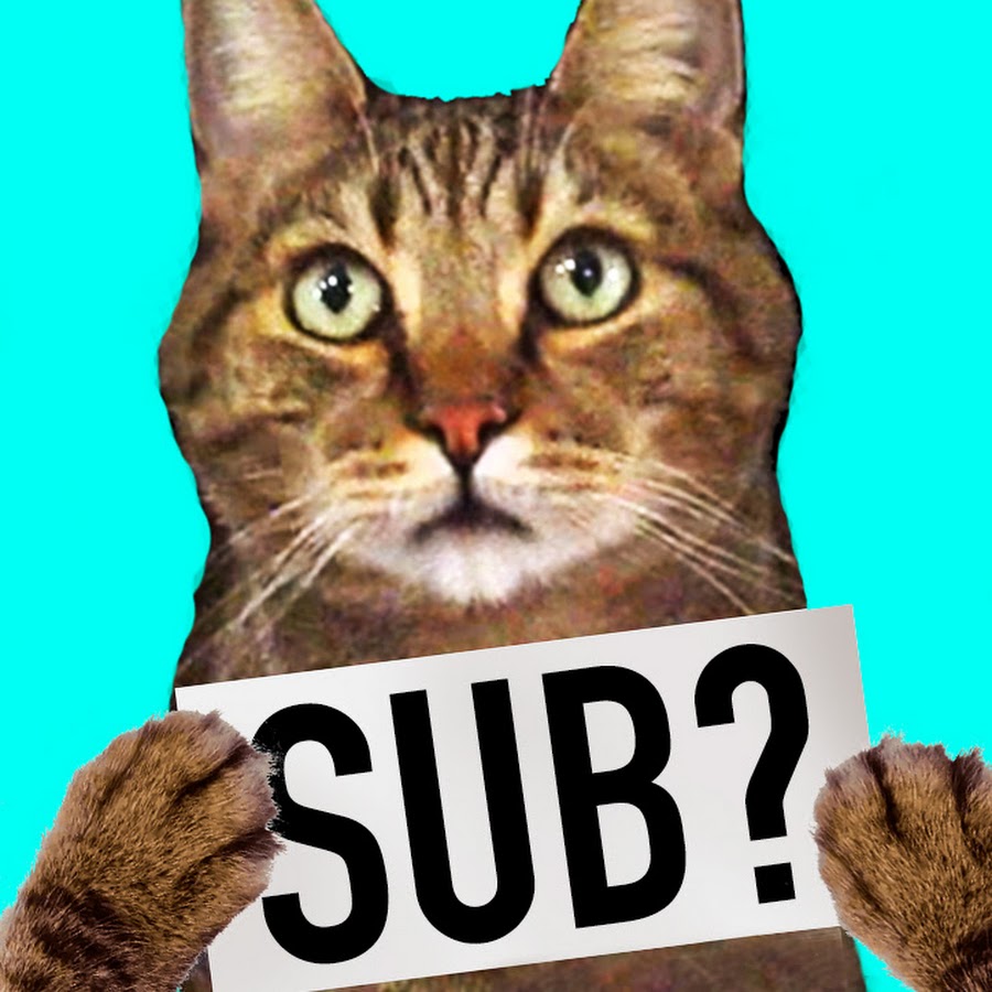 TheMeanKitty Avatar channel YouTube 