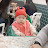 나린파파
