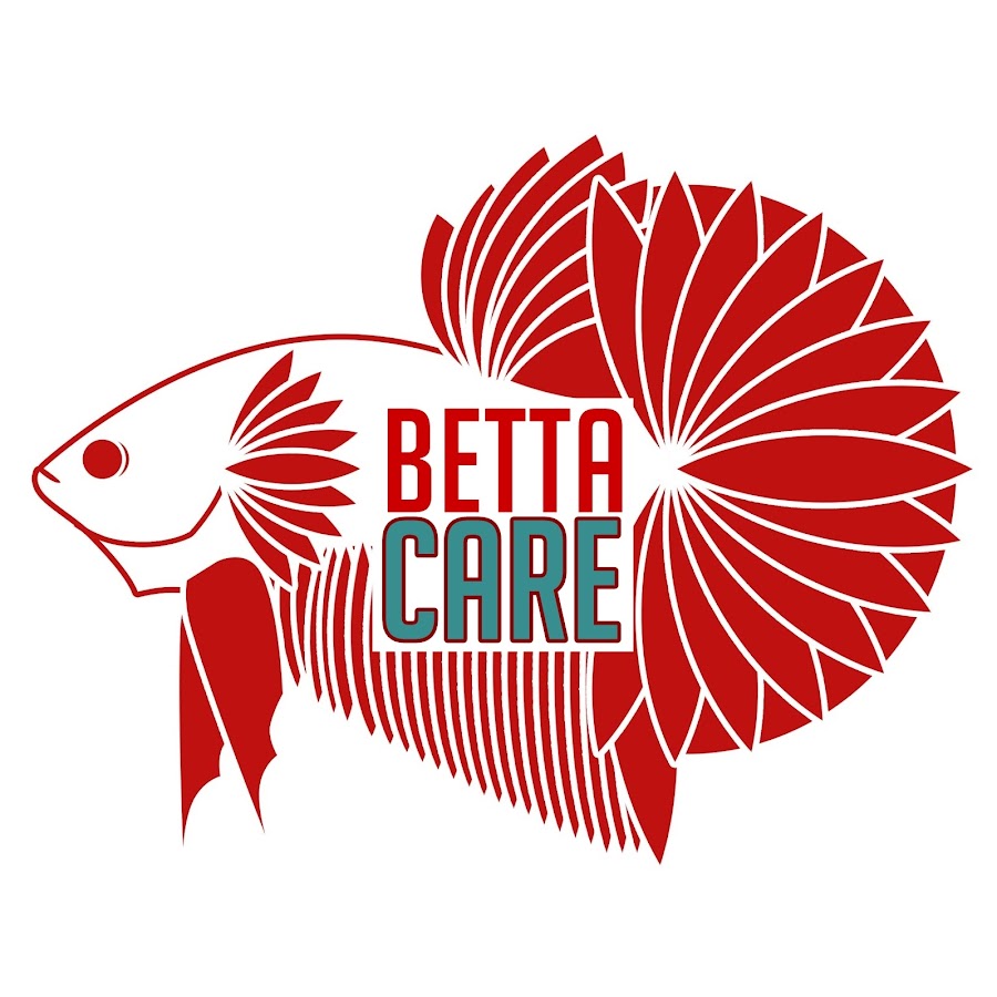 Betta Care Malayalam YouTube channel avatar