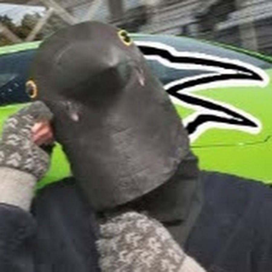 カーボン鳥 Youtube