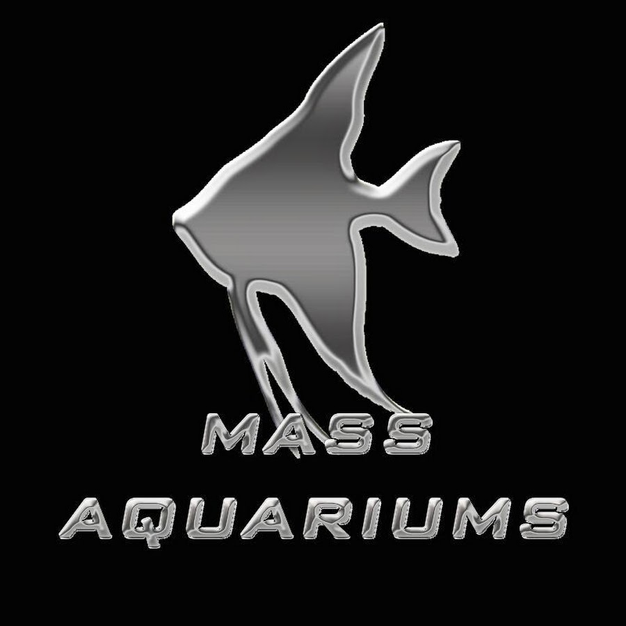MASS Aquariums Avatar canale YouTube 