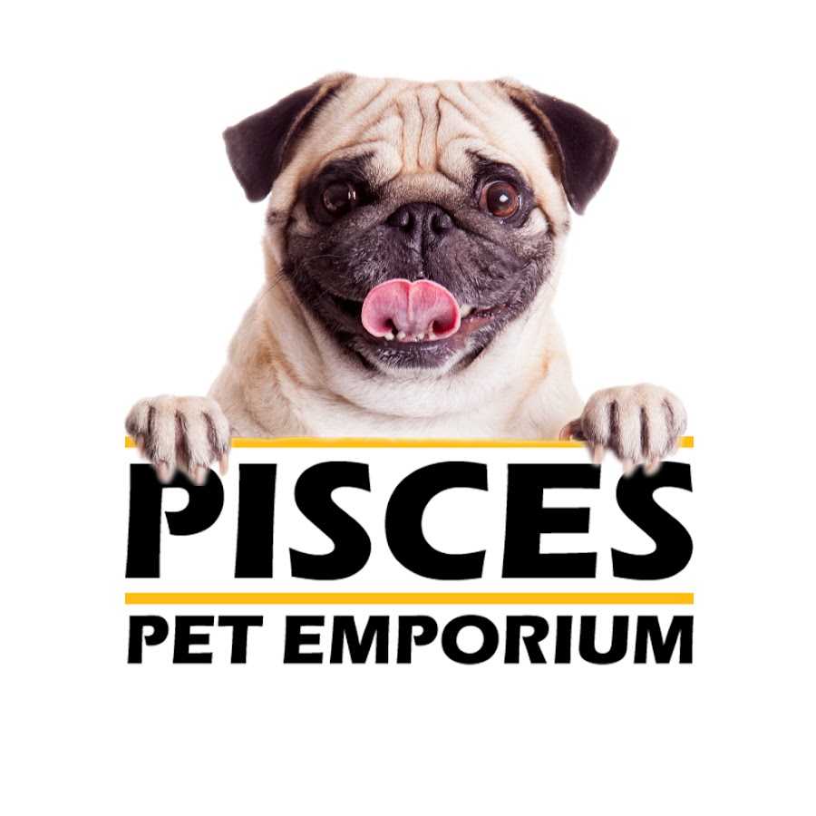 Pisces Pets यूट्यूब चैनल अवतार