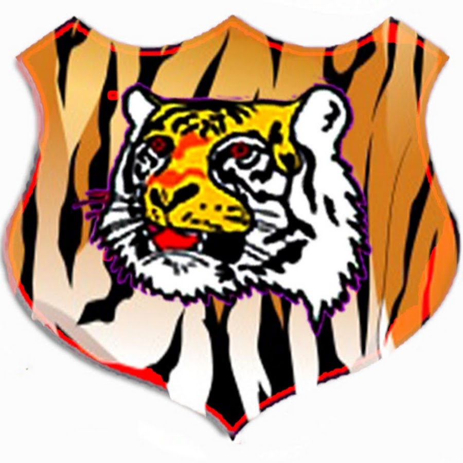 Sundarban TV YouTube channel avatar