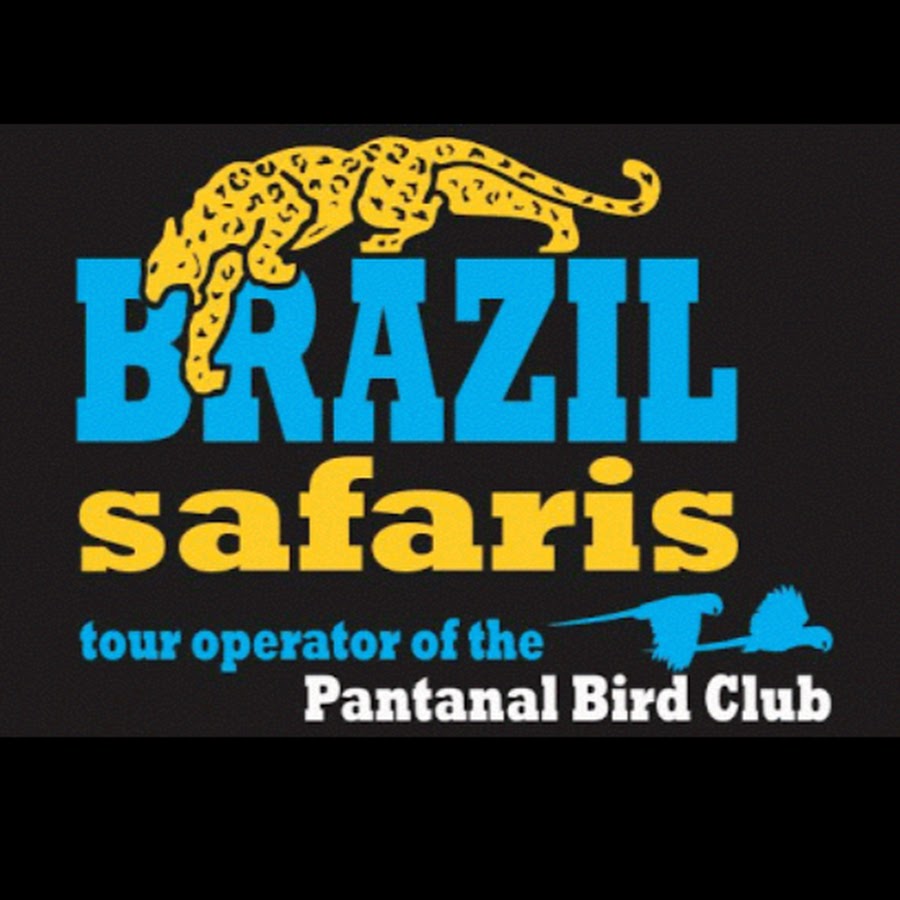 Pantanal BirdClub यूट्यूब चैनल अवतार