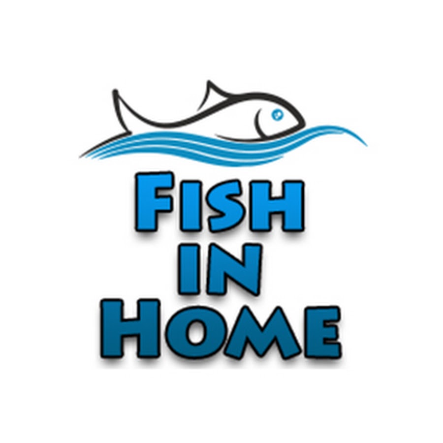 Fish In Home Интернет Магазин