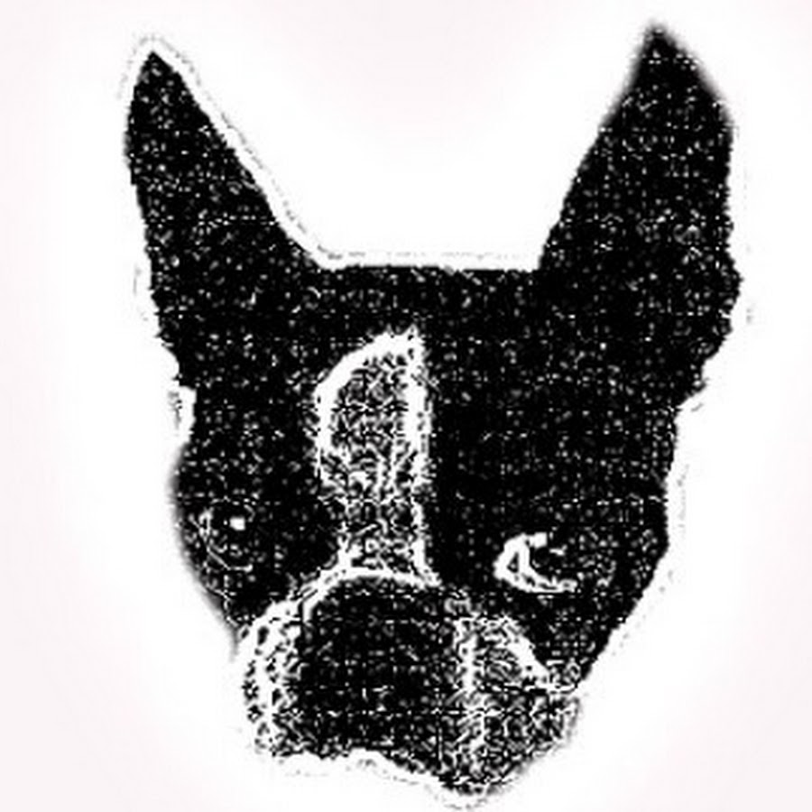 Dog e-Training YouTube 频道头像