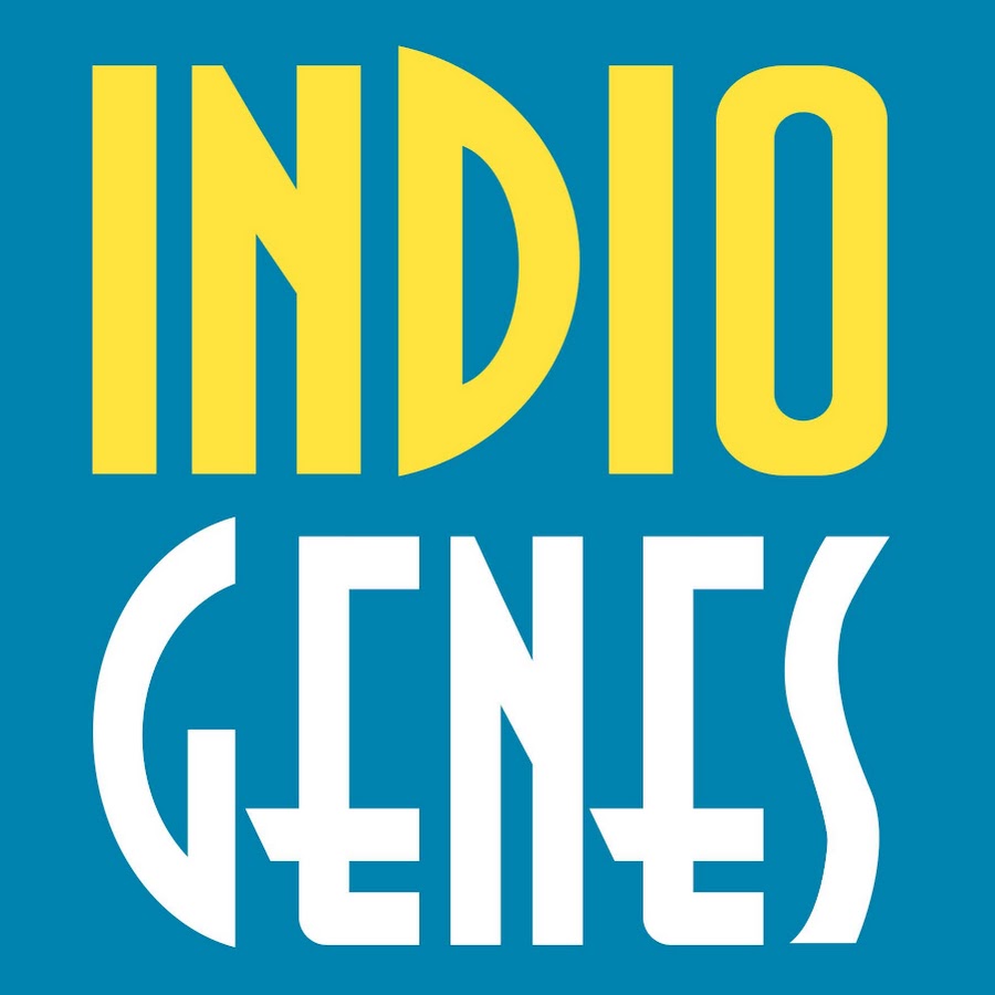 Indiogenes Oficial Avatar canale YouTube 