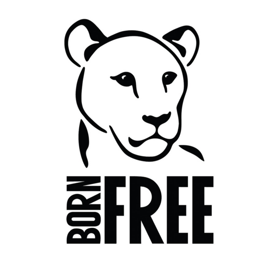 Born Free Foundation YouTube kanalı avatarı