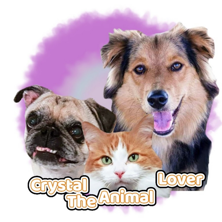 Crystal The Animal Lover YouTube channel avatar