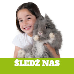 Wszystko o twoim zwierzaku