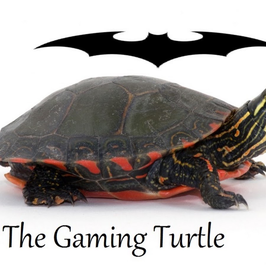 The Gaming Turtle