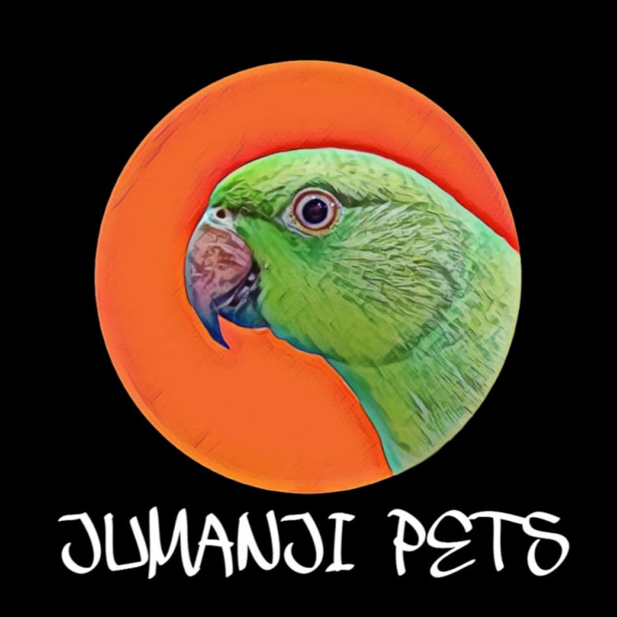 Jumanji Pets رمز قناة اليوتيوب
