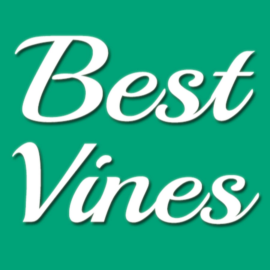 Best Vines YouTube 频道头像
