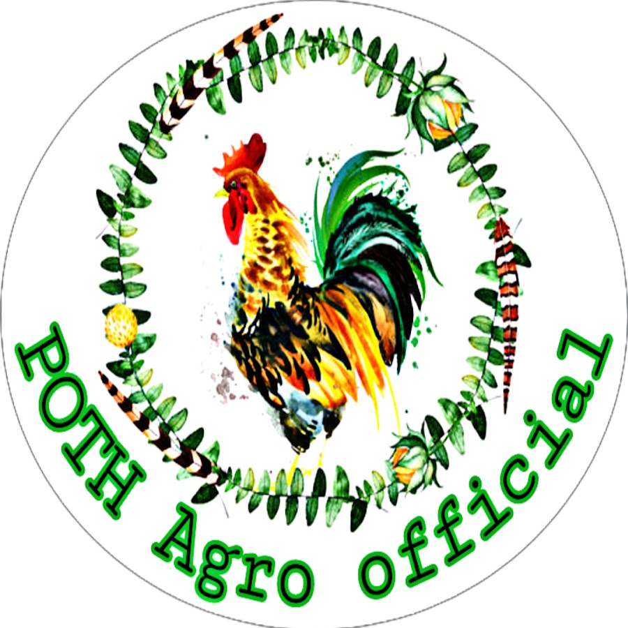 POTH AGRO Ltd YouTube kanalı avatarı